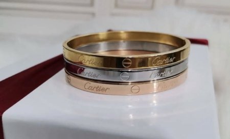 Cartier Love Brace